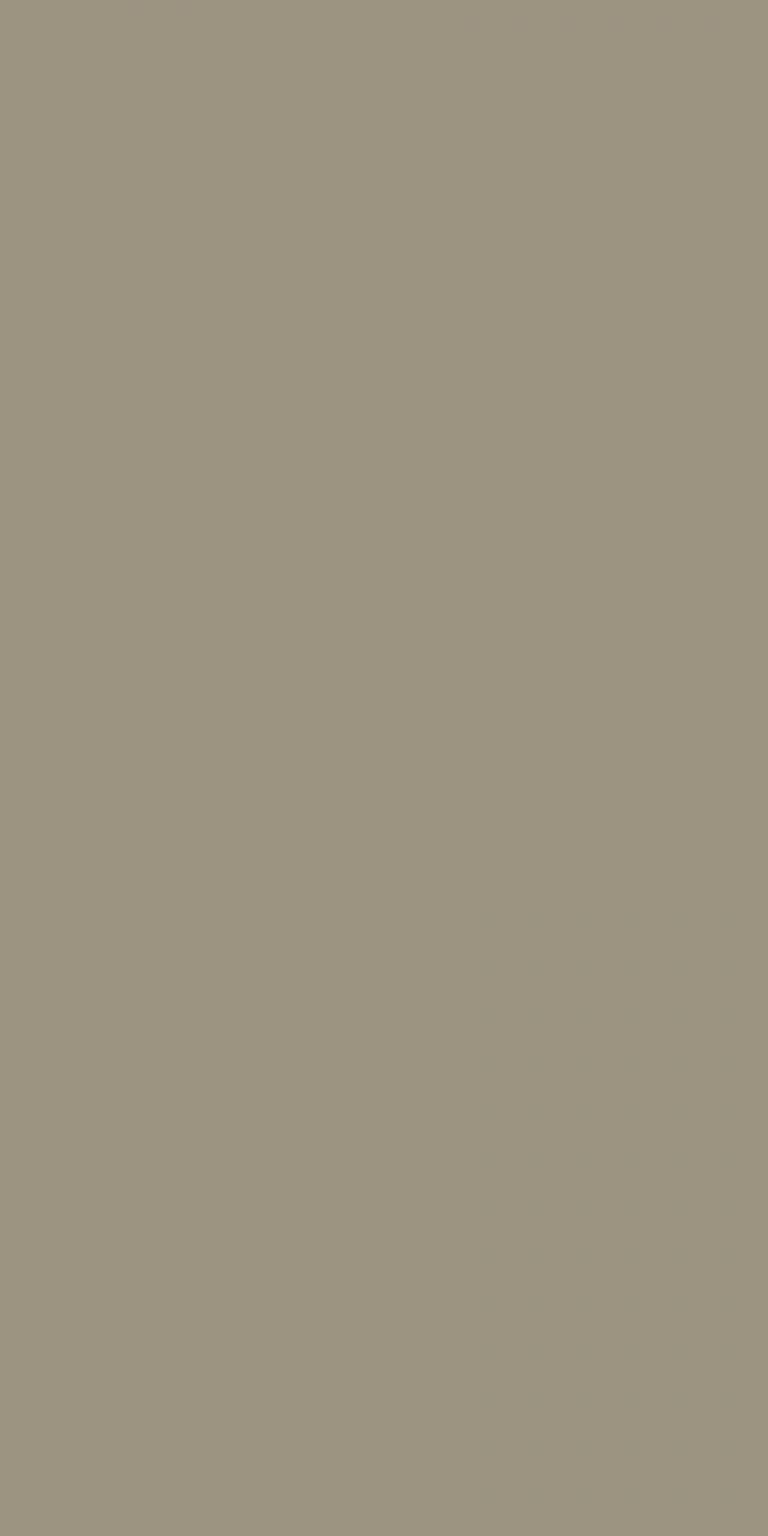 SABLE BROWN is a series of solid dry matt laminate in Topmix. Comes with superlative matt surface, pleasure solid colour matching for your design anticipation